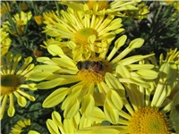 5ecd27ca-Picture 1248.jpg